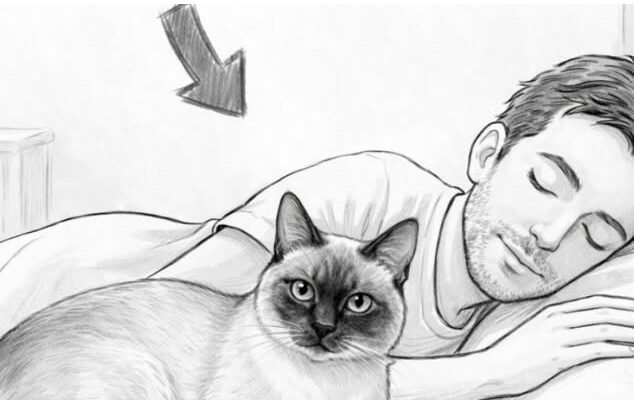 Warum schläft Ihre Katze jede Nacht neben Ihnen, und was verrät das?